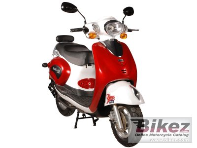2011 Sachs Bee 50 photo